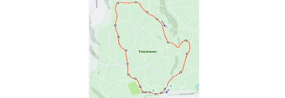 Vestfold løpskarusell - Teieskogen 5. juni